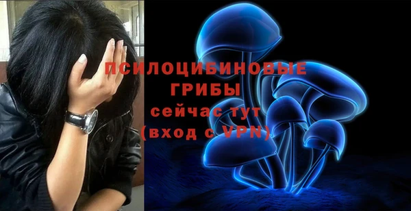 кокаин премиум Алексин