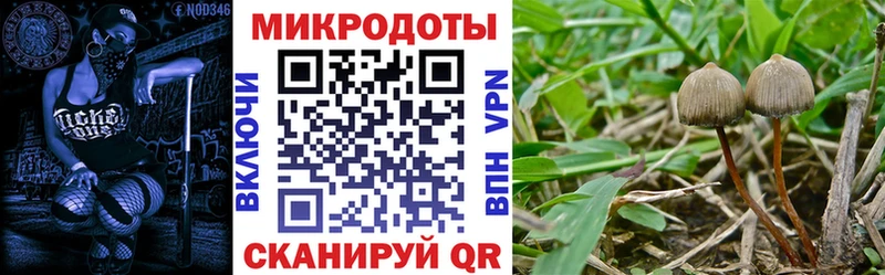 Псилоцибиновые грибы ЛСД  мега tor  нарко площадка какой сайт  дарнет шоп  Заполярный 